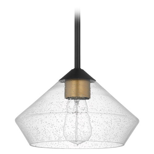 Nuvo Lighting Starlight Matte Black & Natural Brass Pendant by Nuvo Lighting 60-7682