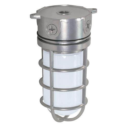 Metallic Silver Flush Mount by Nuvo Lighting