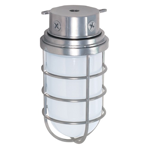 Metallic Silver Flush Mount by Nuvo Lighting