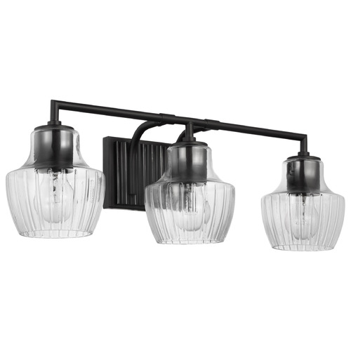 Nuvo Lighting Destin Black & Silver Accents Bathroom Light by Nuvo Lighting 60-7703