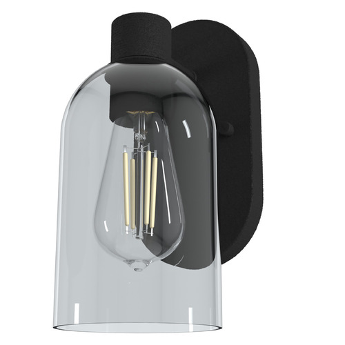 Hunter Fan Company Lochemeade Natural Black Iron Sconce