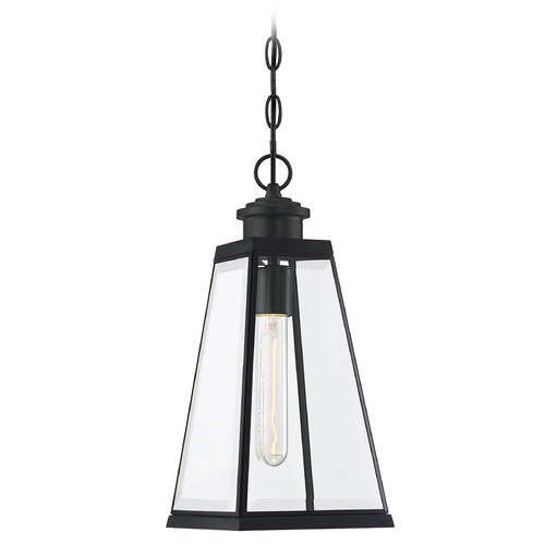 Paxton Mini Pendant in Matte Black by Quoizel Lighting