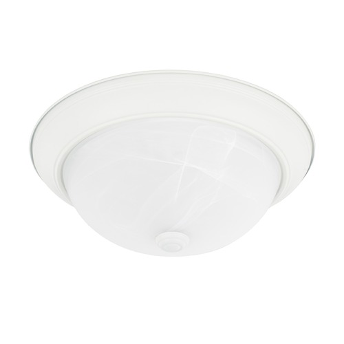 HomePlace by Capital Lighting HomePlace Lighting Ceiling Matte White Flushmount Light 219022MW