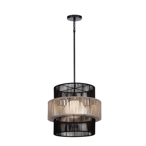 Aden Outdoor Hanging Light in Black & Grey by Eurofase