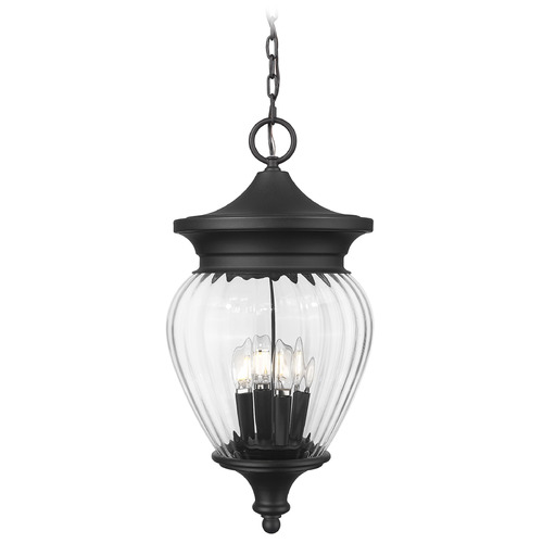 Z-Lite Davina Black Outdoor Hanging Light