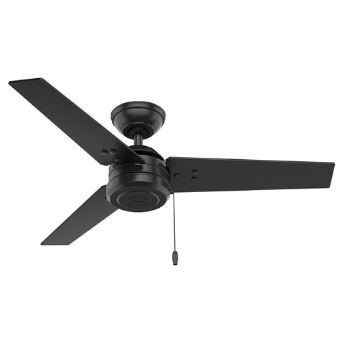Cassius 44-Inch Fan in Matte Black by Hunter Fan Company