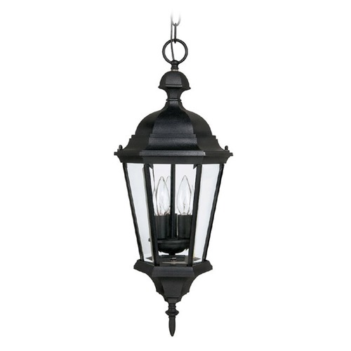 Carriage House Outdoor Hanging Lantern in Black by Capital Lighting