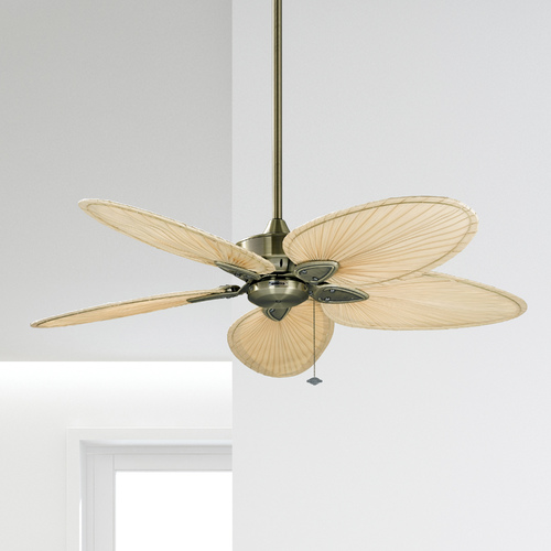 Windpointe 52-Inch Fan in Antique Brass by Fanimation Fans