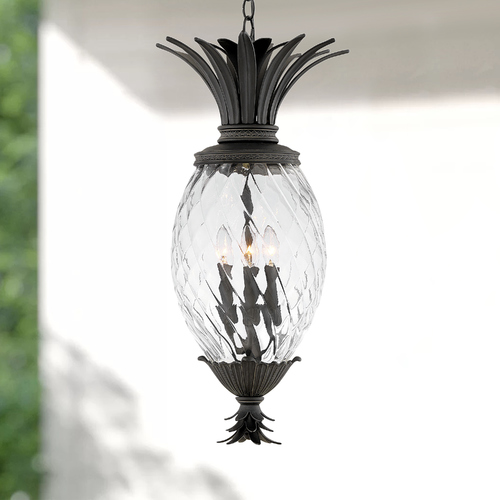 Plantation 28.50-Inch Hanging Light in Museum Black by Hinkley Lighting