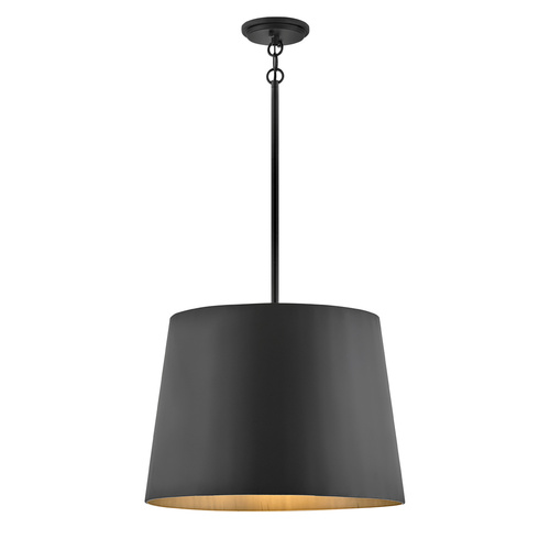 Alder Medium Hanging Pendant in Black by Hinkley Lighting
