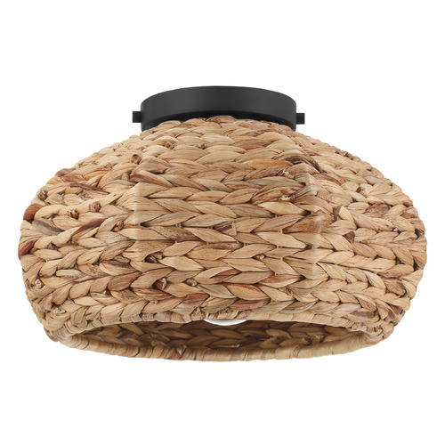 Hunter Fan Company Cambria Matte Black Flushmount Light