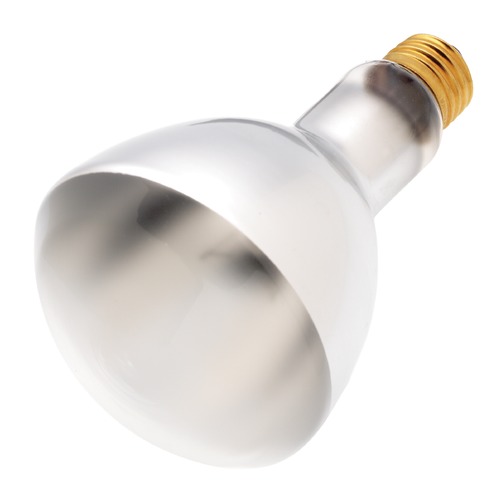 Satco Lighting Incandescent ER30 Light Bulb Medium Base 130V Dimmable by Satco S4956