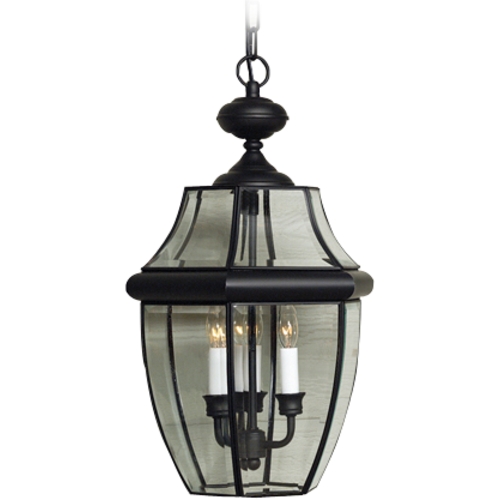 Quoizel Lighting Newbury Outdoor Hanging Light in Mystic Black by Quoizel Lighting NY1179K