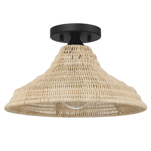 Hunter Fan Company Hunter Fan Company Agoura Matte Black Flushmount Light 48082