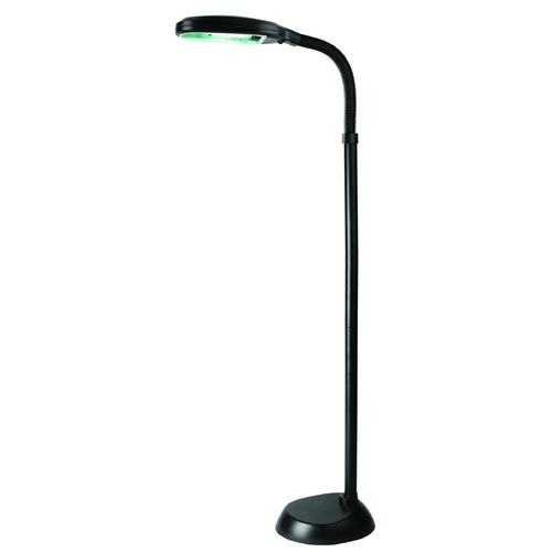 Aptos Black Floor Lamp by Lite Source Lighting
