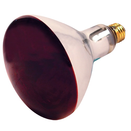 Satco Lighting Incandescent R40 Light Bulb Medium Base Dimmable S4998