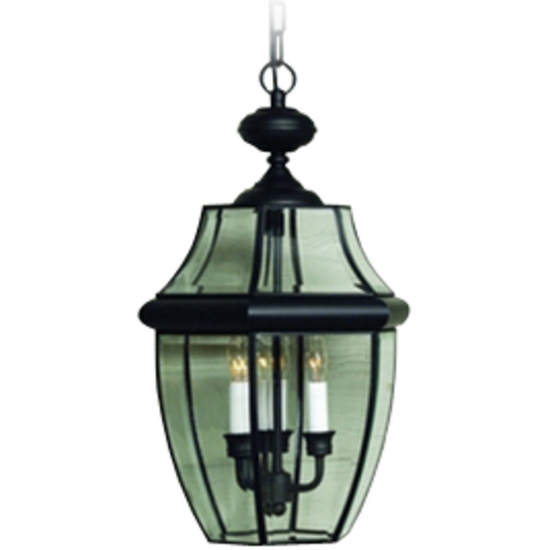 Quoizel Lighting Newbury Outdoor Hanging Light in Mystic Black by Quoizel Lighting NY1180K