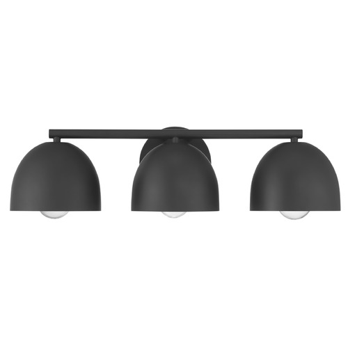Hunter Fan Company Erling Matte Black Bathroom Light