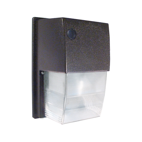 Outdoor Wall Light in Bronze - 50W by RAB Electric Lighting