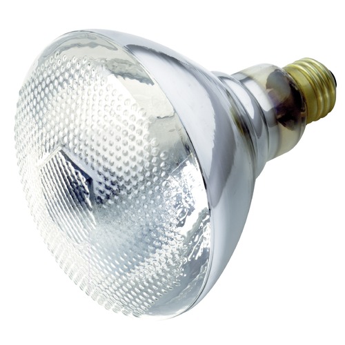Satco Lighting Satco Lighting Incandescent Bulb S5001