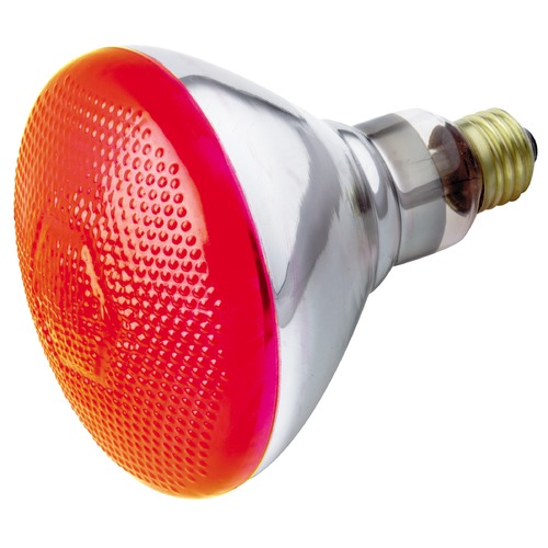 Satco Lighting Satco Lighting Incandescent Bulb S5002