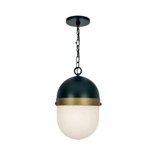 Crystorama Lighting Brian Patrick Flynn Capsule Outdoor Pendant by Crystorama Lighting CAP-8505-MK-TG