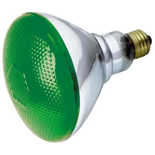 Satco Lighting Satco Lighting Incandescent Bulb S5005