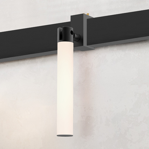 Mucci Matte Black & White LED Track Head by Eurofase Lighting