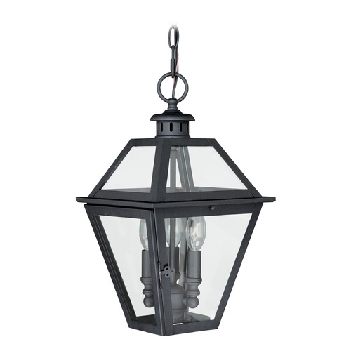 Vaxcel Lighting Nottingham Textured Black Outdoor Hanging Light by Vaxcel Lighting T0081