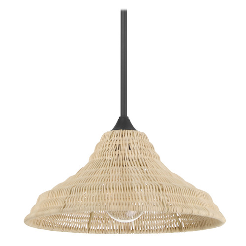 Hunter Fan Company Agoura Matte Black Pendant Light with Conical Shade