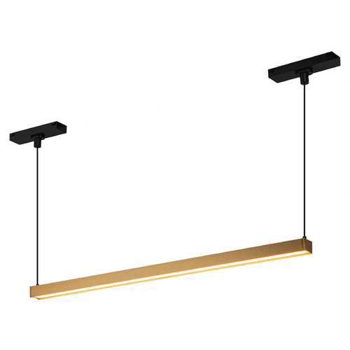 Kuzco Lighting Kuzco Lighting Mira Brushed Gold LED Pendant Light TRL28122-BG