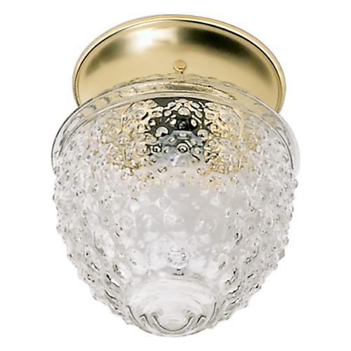Nuvo Lighting Polished Brass Flushmount Light