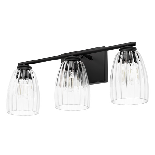 Hunter Fan Company Rossmoor Matte Black Bathroom Light