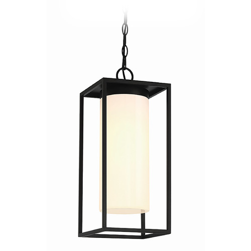 Eurofase Lighting Ren 1-Light Outdoor Hanging Lantern in Black by Eurofase Lighting 41964-019
