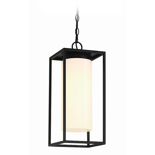 Ren 1-Light Outdoor Hanging Lantern in Black by Eurofase Lighting
