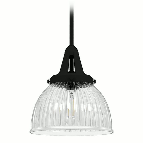 Hunter Fan Company Cypress Grove Natural Black Iron Mini-Pendant Light with Bowl / Dome Shade