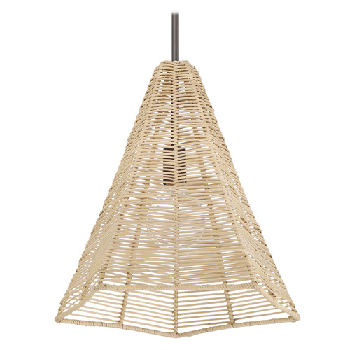 Hunter Fan Company Comet Matte Bronze Pendant Light with Conical Shade