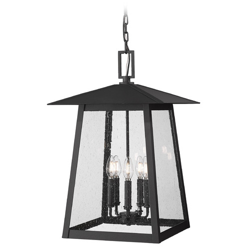 Z-Lite Rainer Black Outdoor Hanging Light