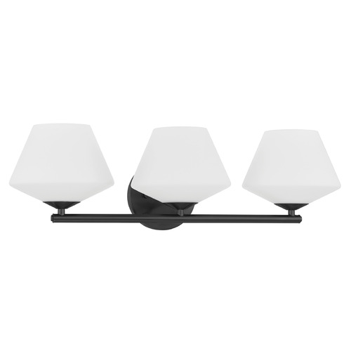 Hunter Fan Company Celestial Valley Matte Black Bathroom Light