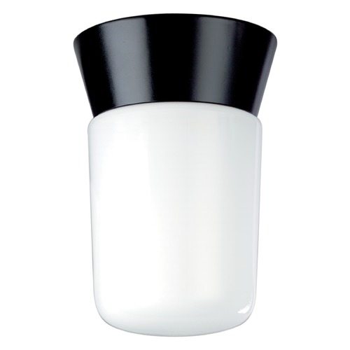 Black Flush Mount by Nuvo Lighting