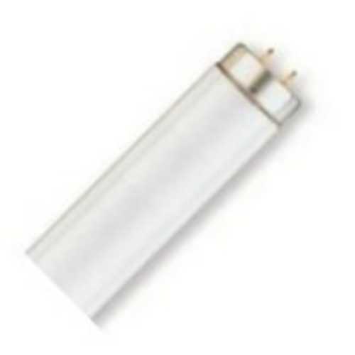 25W T8 Fluorescent Light Bulb by Satco Lighting