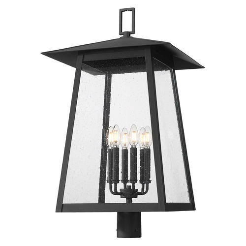 Z-Lite Rainer Black Post Light