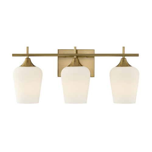 Savoy House Lighting Warm Brass Bathroom Light