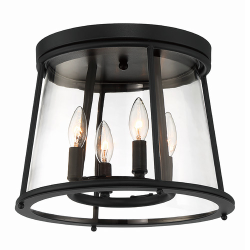 Eurofase Lighting Daulle 4-Light Outdoor Flush Mount in Black by Eurofase Lighting 42724-018