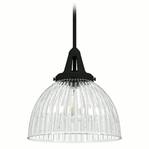 Hunter Fan Company Cypress Grove Natural Black Iron Pendant Light with Bowl / Dome Shade