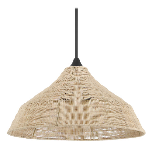 Hunter Fan Company Agoura Matte Black Pendant Light with Conical Shade