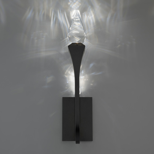 Schonbek Beyond Schonbek Beyond Plumeria Black LED Outdoor Wall Light BWSW25523-BK