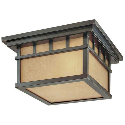 Dolan Designs Lighting Outdoor Flushmount Ceiling Light 9119-68