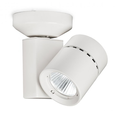 Exterminator II White LED Monopoint Spot Light by WAC Lighting