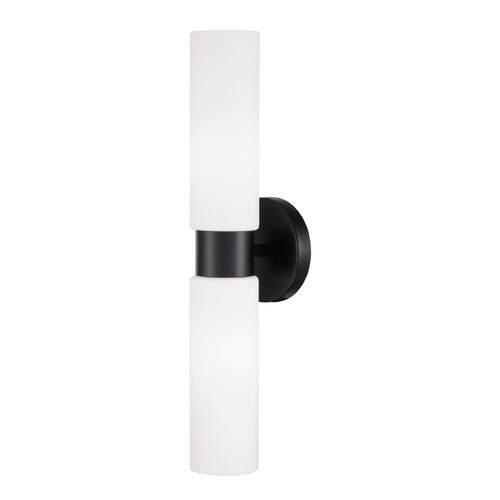 Homeplace By Capital Lighting Theo Matte Black Sconce